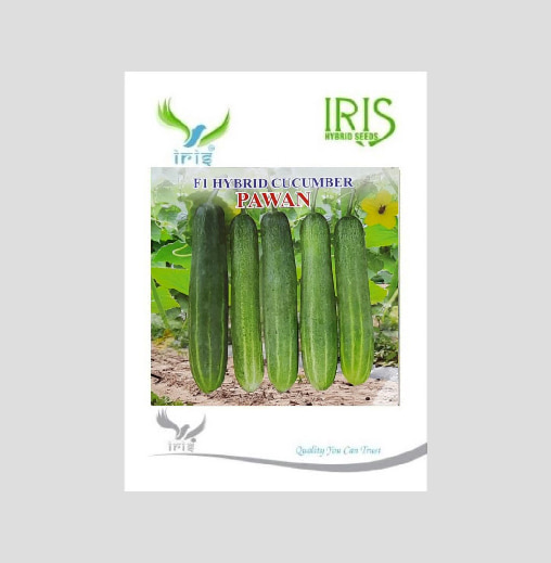 Iris Pawan F1 Hybrid Cucumber Seeds