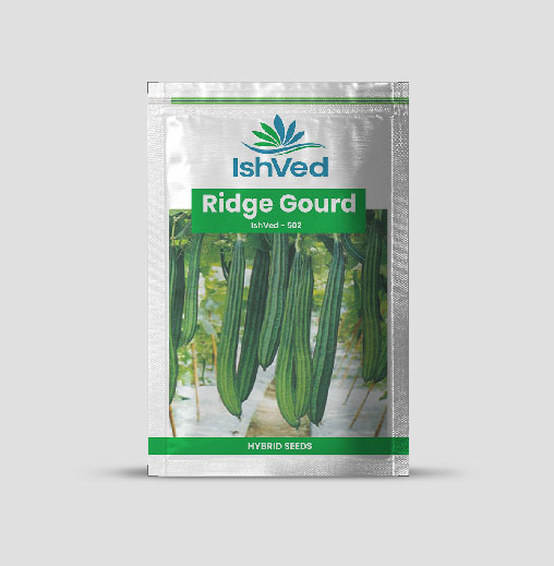 IVRGH - 502 Ridgegourd Seeds