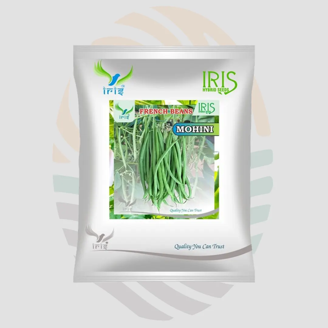 Iris OP French Beans Mohini seeds