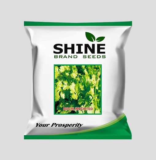 Ruchi Imported Coriander Seeds