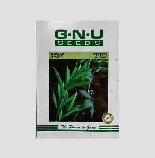 Gaavran Gawar Seeds(Cluster Bean)