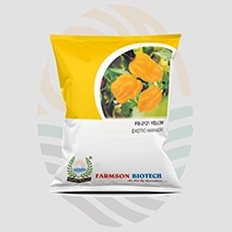 FB-2120 (Yelllow Habanero)  F1 Hybrid Chilli Seeds
