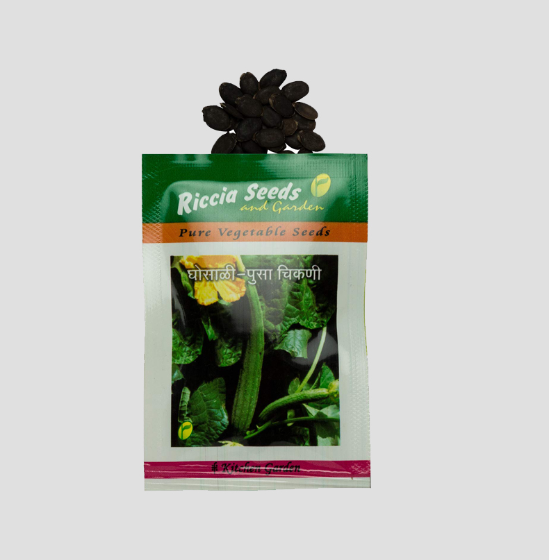 Spongegourd - Pusa Chikani Seeds