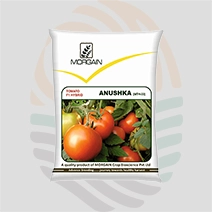 Anushka F1 Hybrid Tomato Seeds