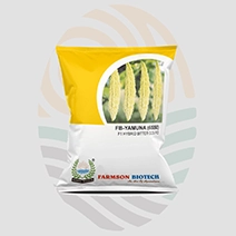 FB-Yamuna (6550) F1 Hybrid Bitter Gourd Seeds