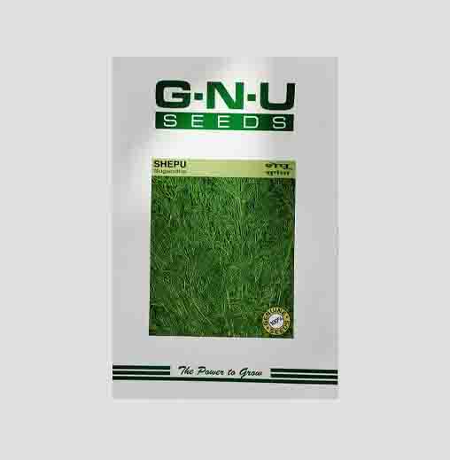 Sugandha Shepu Seeds