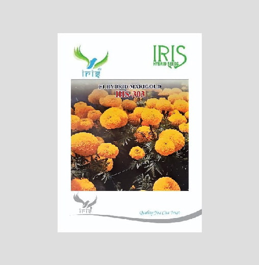 Iris IHS-303 F1 Hybrid Yellow Marigold Seeds
