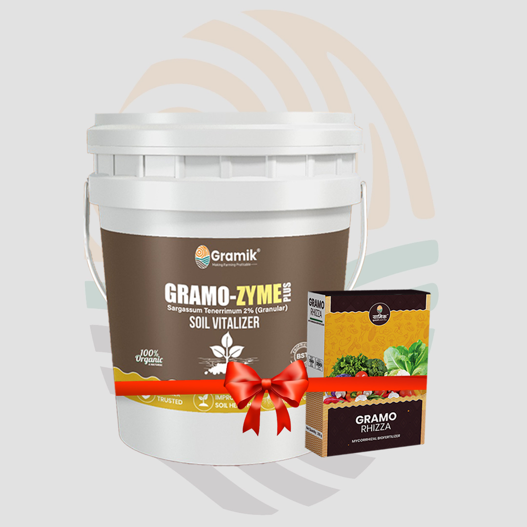 Gramo Zyme (5kg) + Gramo Rhizza (250gm)