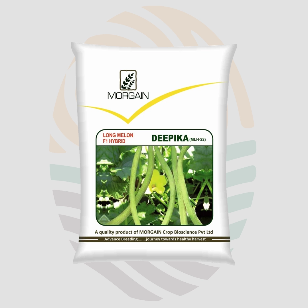 Deepika F1 Hybrid Long Melon Seeds