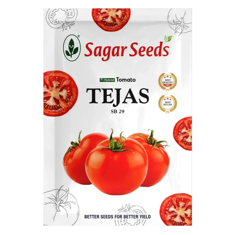 Sagar TEJAS F1 Hybrid Tomato Seeds