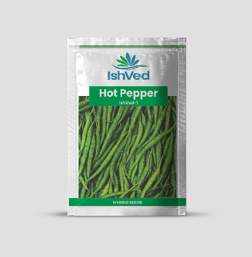 IVHPH - 1 Chilli Seeds