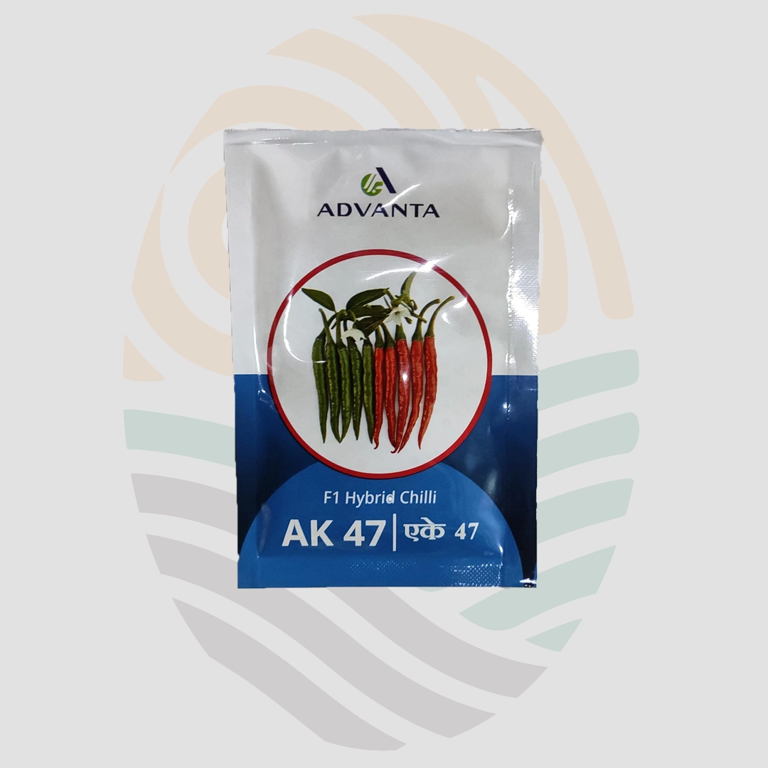 AK-47 Chilli Seeds