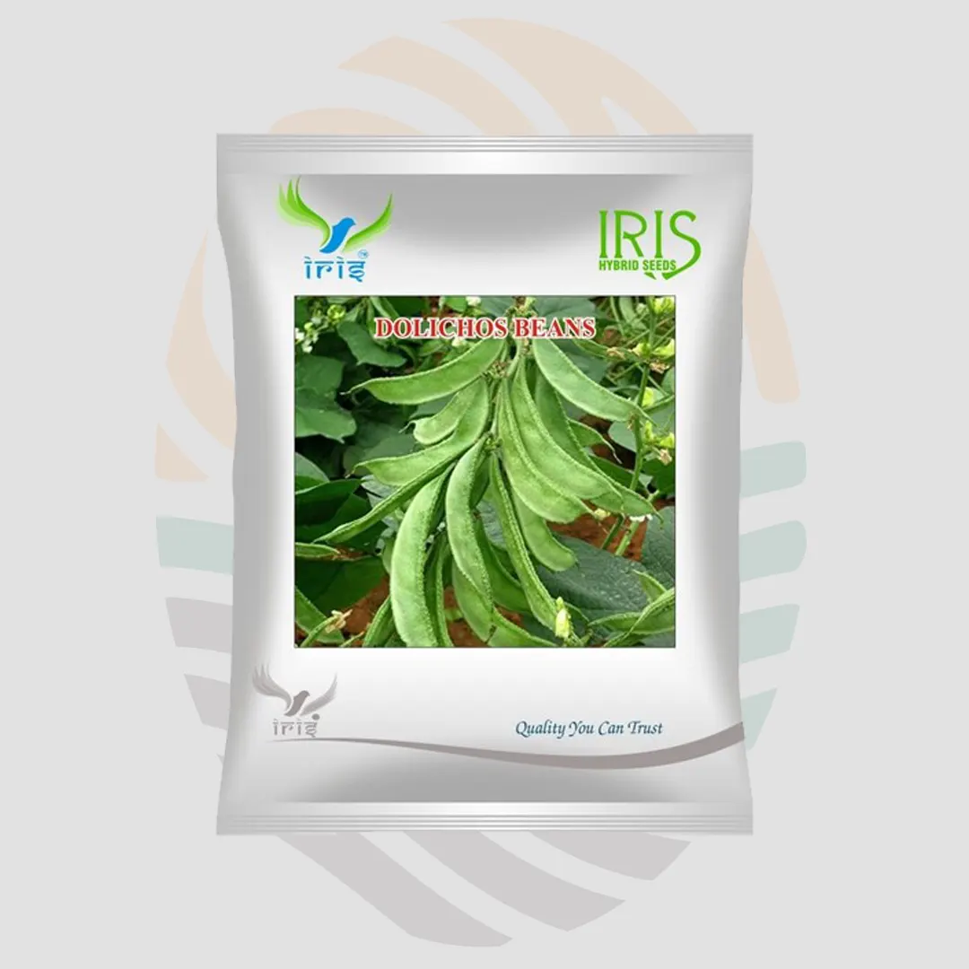 Iris OP DOLICHOS BEANS (SEM PHALLI)Seeds