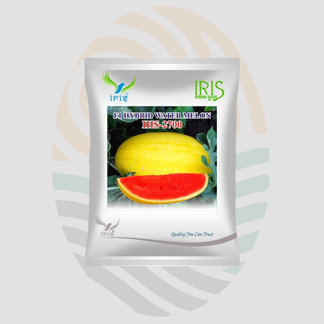 Iris IHS-2700 F1 Hybrid Watermelon Seeds