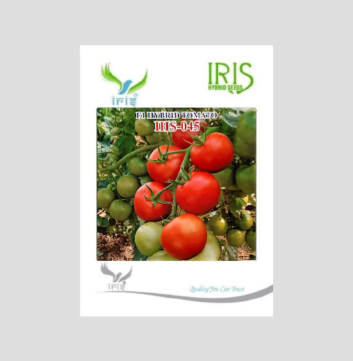 Iris IHS-045 F1 Hybrid Tomato Seeds