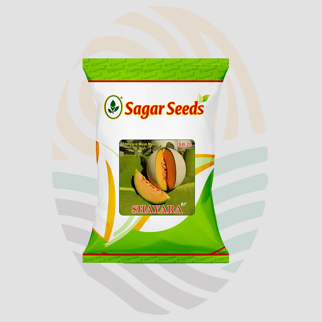 Sagar Shayara F1 Muskmelon Seeds