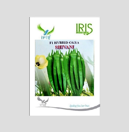 Iris Shivani F1 Hybrid Okra (Bhindi) Seeds