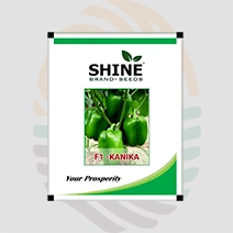 Kanika F1 Hybrid Capsicum Seeds