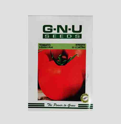 Arka Vikas / S - 22 Tomato Seeds