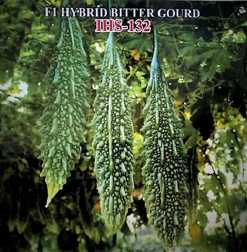Iris IHS-132 F1 Hybrid Bitter Gourd Seeds