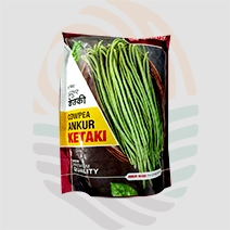 Ankur Ketaki Lobia seeds