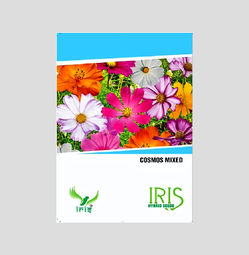 Iris Imported Cosmos Mix Seeds
