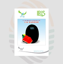 Iris  F1 Hybrid Lal Badshah  watermelon Seeds