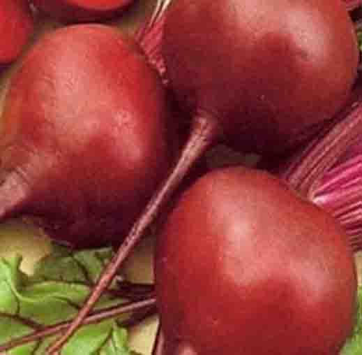 Detroit Red Beet root Seeds