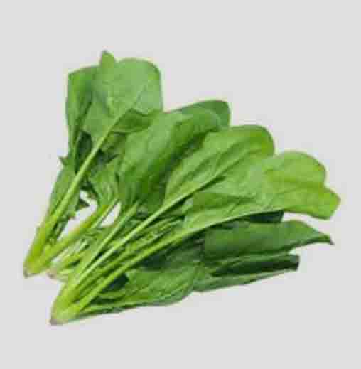 Radha Krishna Palak seeds