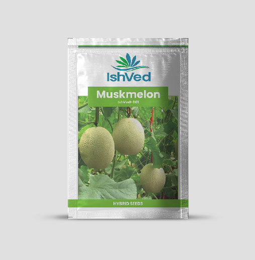 IVMMH - 801 Muskmelon Seeds