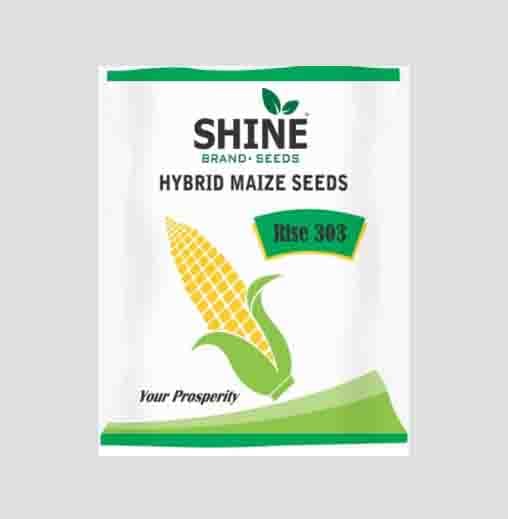 Rise 303 Maize Seed