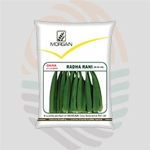 Radha Rani F1 Hybrid Okra Seeds