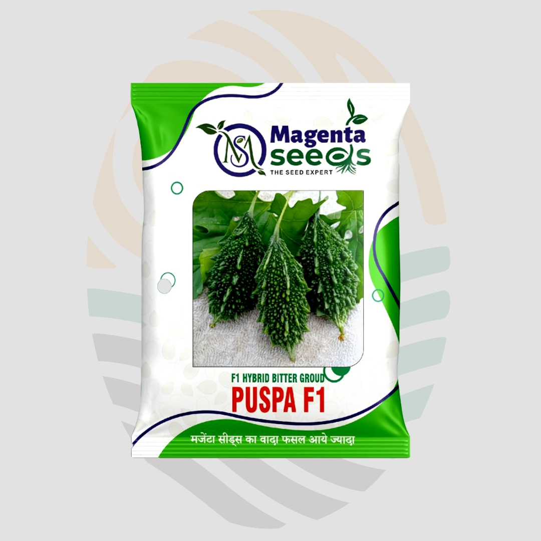 Pushpa (MSH1303) F1 Hybrid Bitter Gourd Seeds