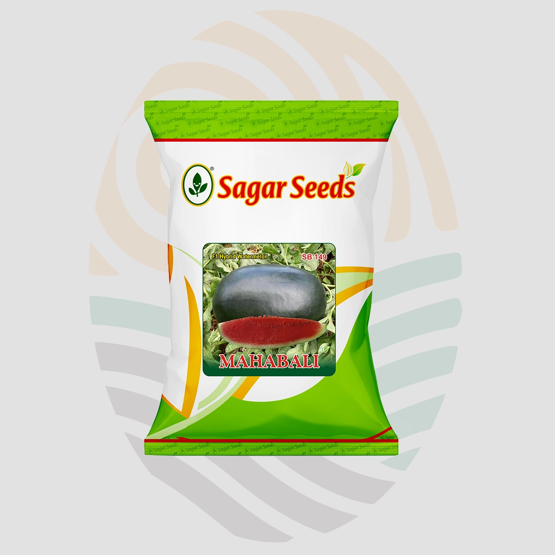 Sagar Mahabali F1 Watermelon Seeds