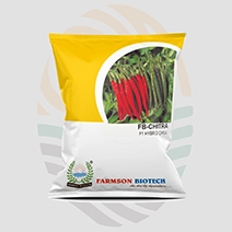 FB-Chitra F1 Hybrid Chilli Seeds