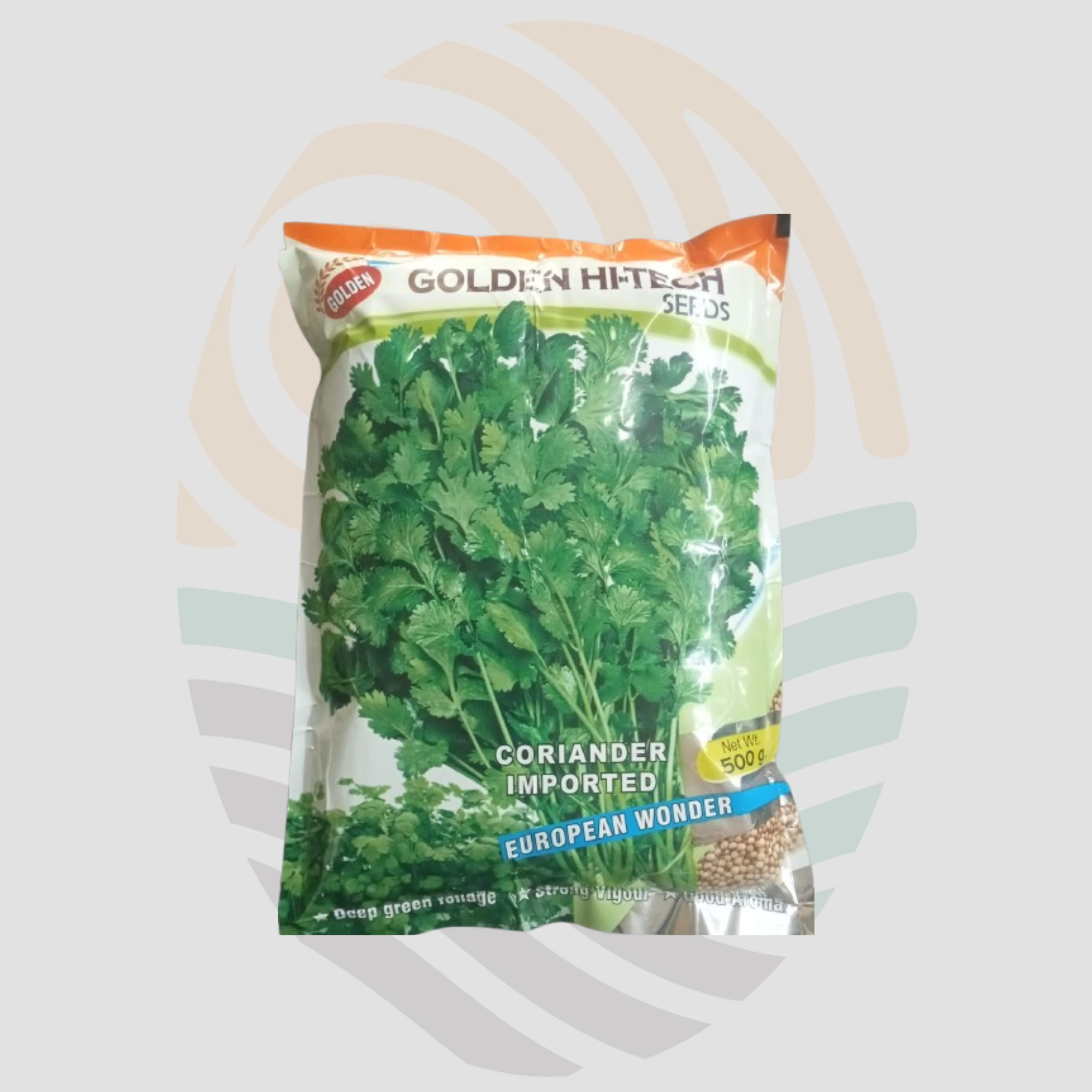 Imported Coriander European Wonder