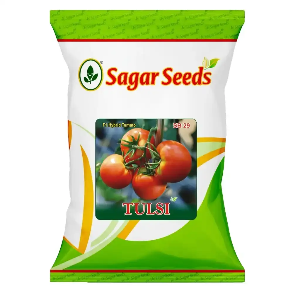 Sagar Tulsi F1 Hybrid Tomato Seeds