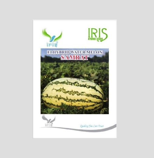 Iris Hybrid Fruit Seeds F1 Hybrid Watermelon Samrat - Ice Box Segment