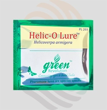 Helic-O Lure (Helicoverpa armigera)