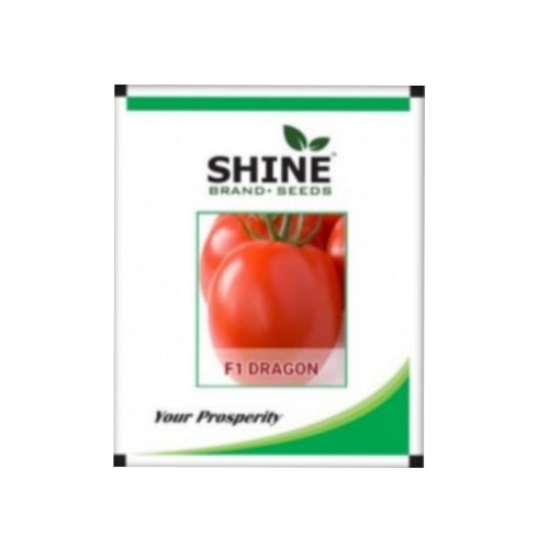 Dragon F1 Hybrid Tomato Seeds