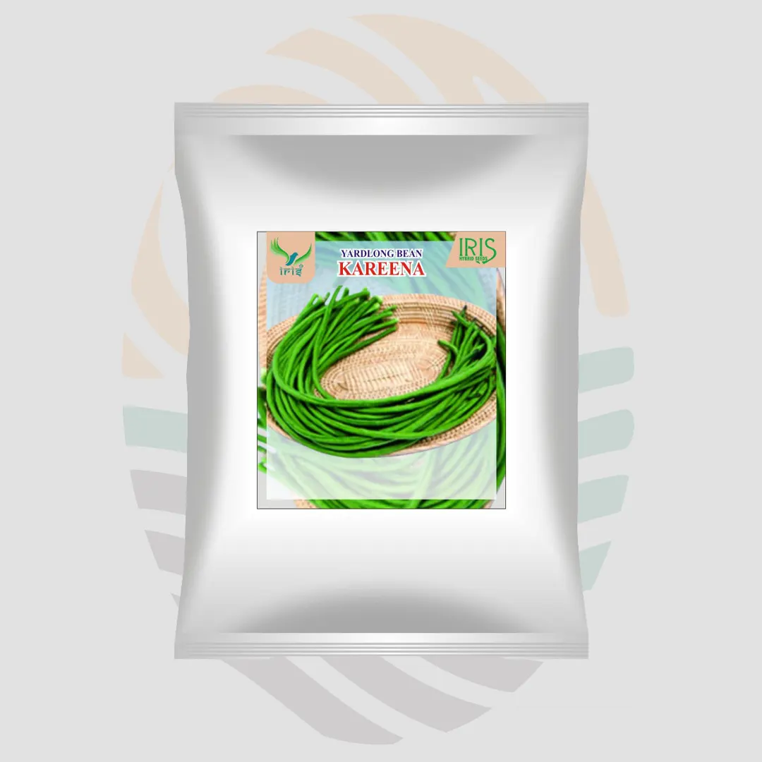 Iris F1 Hybrid Yard Long Beans Kareena Seeds
