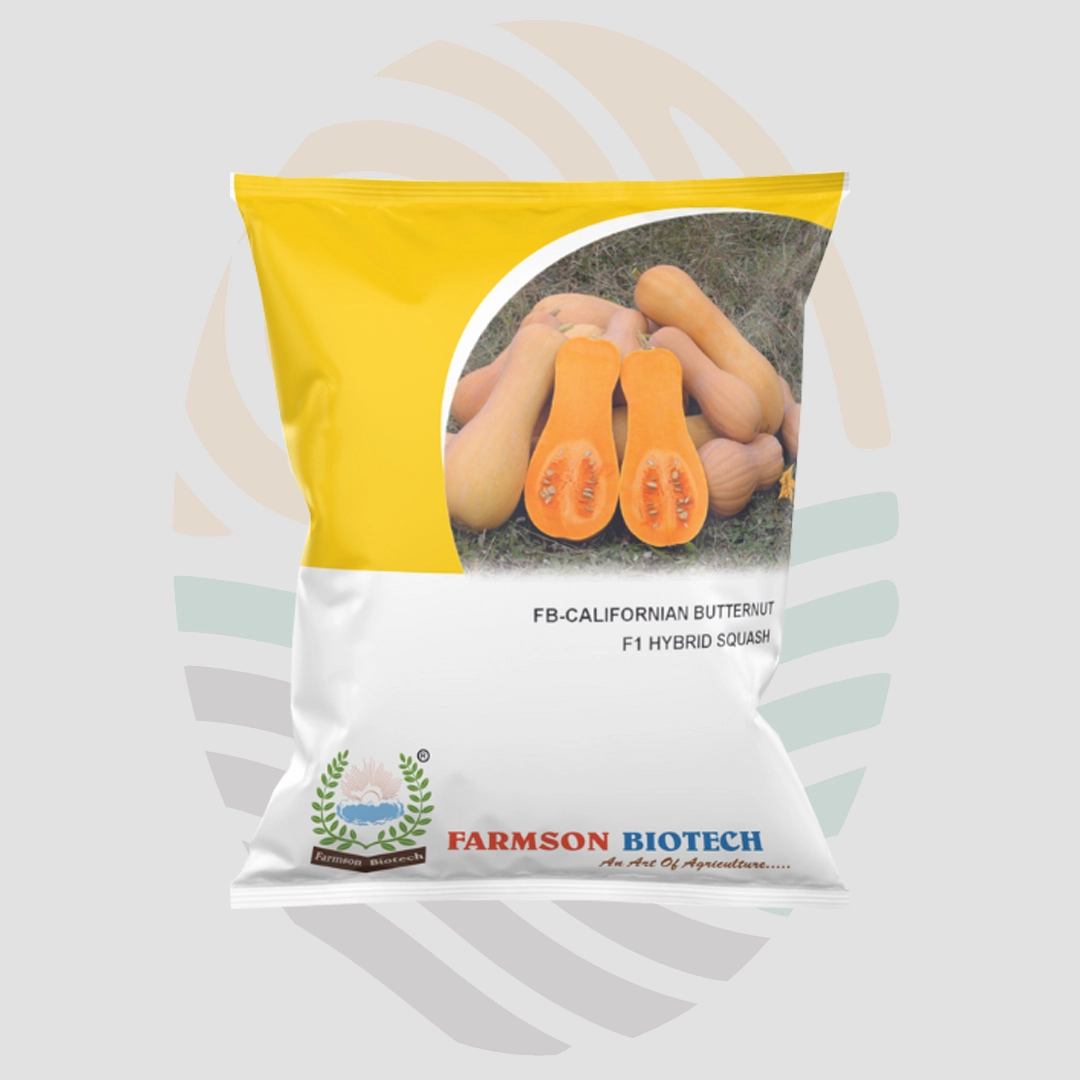 FB-CALIFORNIAN BUTTERNUT F1 Hybrid Pumpkin Seeds