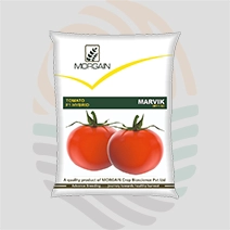 Marvik F1 Hybrid Tomato Seeds