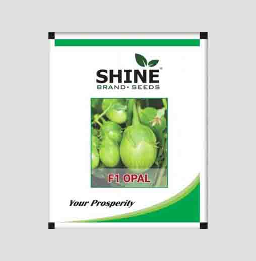 Opal F1 Hybrid Brinjal Seeds