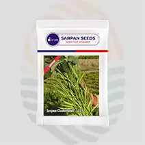 Sarpan 101 Cluster Bean Seeds