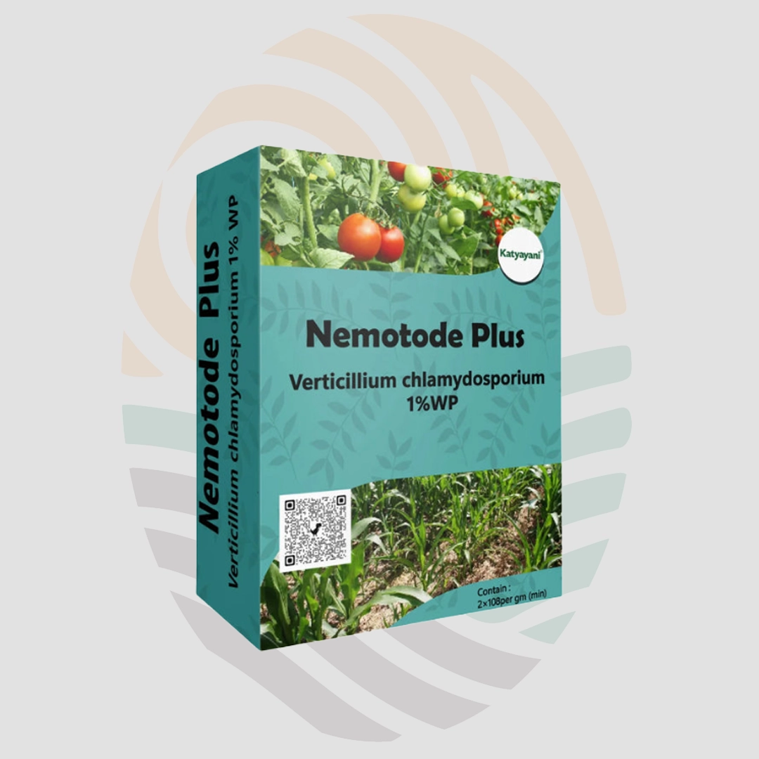 KATYAYANI NEMATODE PLUS | VERTICILLIUM CHLAMYDOSPORIUM 1% WP