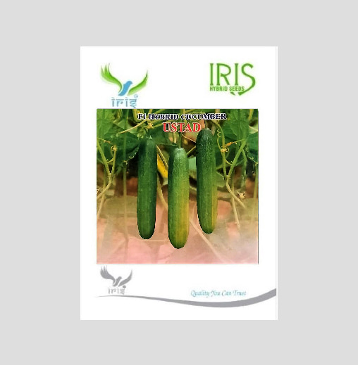 Iris Ustad F1 Hybrid Cucumber Seeds