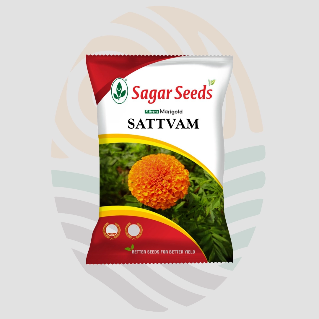 Sagar Sattvam F1 Marigold  Seeds