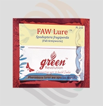 Faw Lure ( Fall Armyworm/ Spodoptera  frugiperda)