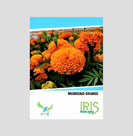 Orange Marigold  F1 Hybrid Seeds